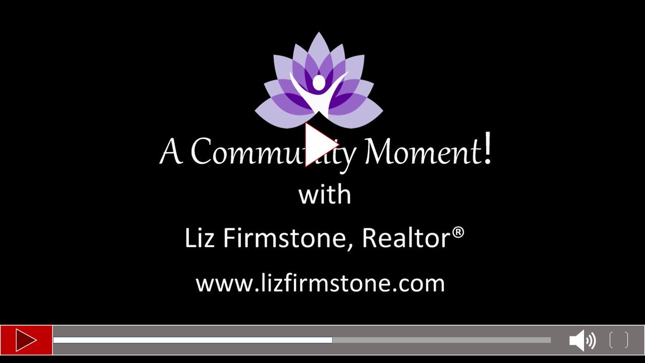 Alexandra Ackerman Iowa City Artist Video | Liz Erb Firmstone, Real Estate